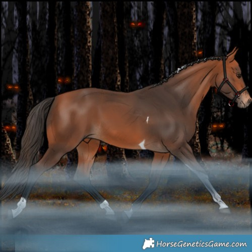 Horse Color:Bay Tobiano Rabicano