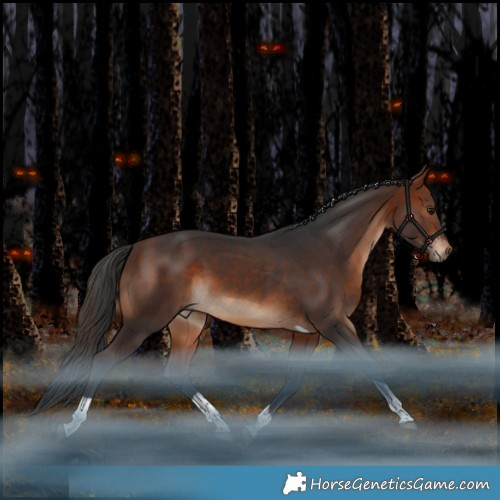 Horse Color:Bay Tobiano Rabicano