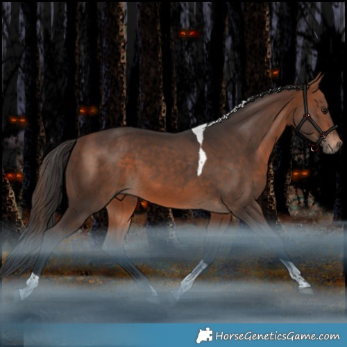 Horse Color:Bay Tobiano Rabicano