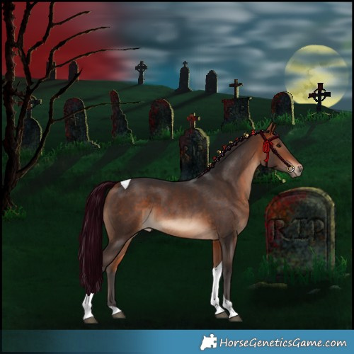 Horse Color:Bay Tobiano Rabicano 