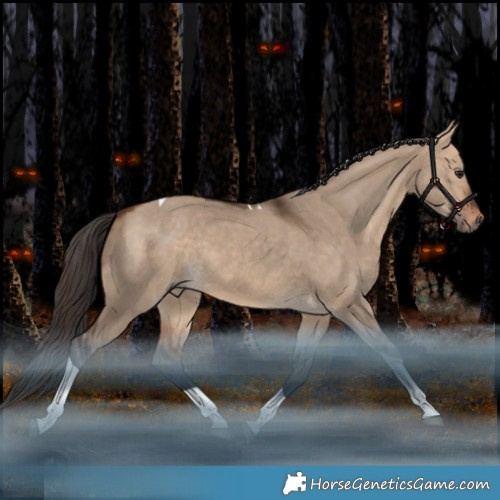 Horse Color:Bay Dun Tobiano Rabicano