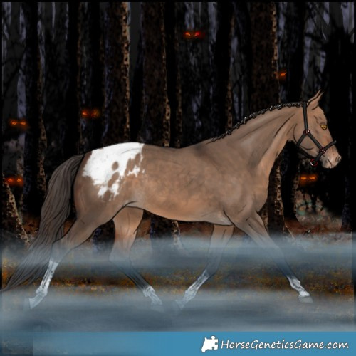 Horse Color:Bay Dun Tobiano Appaloosa Rabicano 