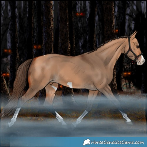 Horse Color:Bay Dun Splash Tobiano Varnish Rabicano