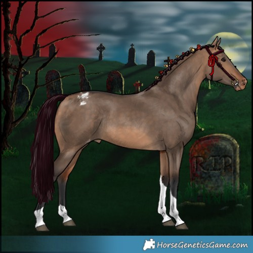 Horse Color:Bay Dun Tobiano Varnish Rabicano