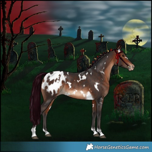 Horse Color:White Spotted Bay Tobiano Appaloosa Rabicano 