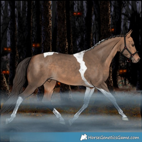 Horse Color:Bay Dun Tobiano 