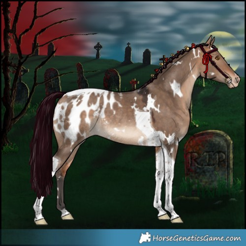Horse Color:White Spotted Bay Dun Tobiano Appaloosa Rabicano 