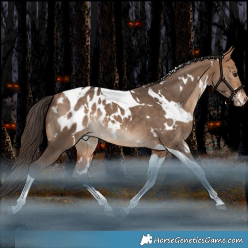 Horse Color:White Spotted Bay Dun Tobiano Appaloosa Rabicano 