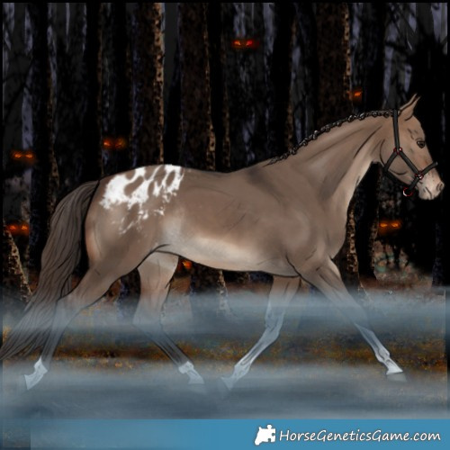 Horse Color:Brown Dun Tobiano Appaloosa Rabicano 