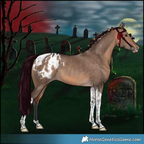 Horse Color:Bay Dun Tobiano Appaloosa Rabicano 