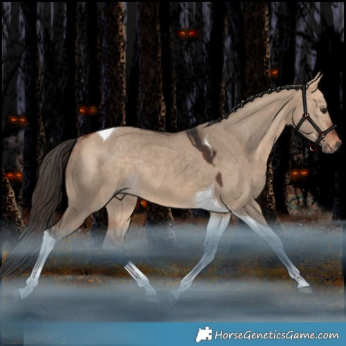 Horse Color:Bay Dun Tobiano Rabicano 