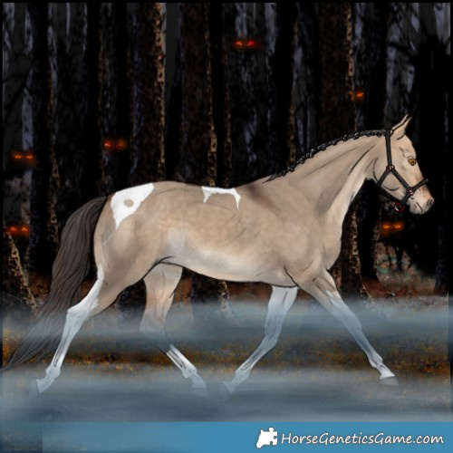 Horse Color:Bay Dun Tobiano 
