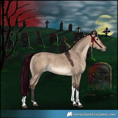 Horse Color:Bay Dun Tobiano Rabicano 