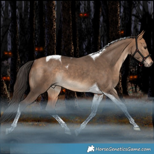 Horse Color:Bay Dun Tobiano Rabicano 