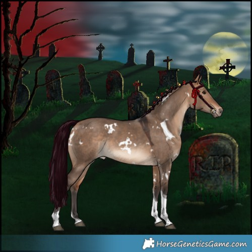 Horse Color:White Spotted Bay Dun Tobiano Rabicano 