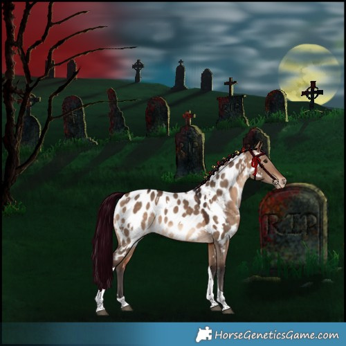 Horse Color:White Spotted Bay Dun Tobiano Appaloosa Rabicano 