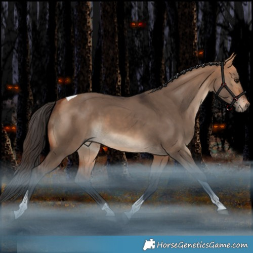 Horse Color:Bay Dun Tobiano Rabicano 