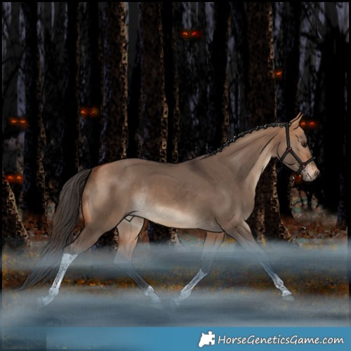 Horse Color:Bay Dun Tobiano Rabicano 