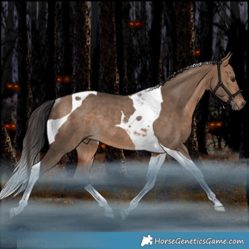 Horse Color:Bay Dun Tobiano Rabicano 