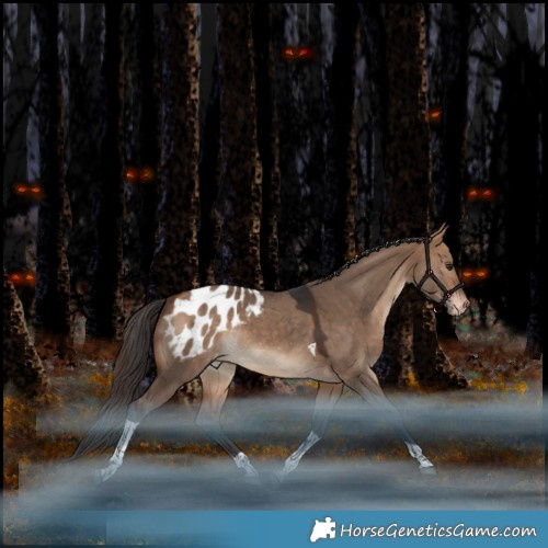 Horse Color:Bay Dun Tobiano Blanket Rabicano