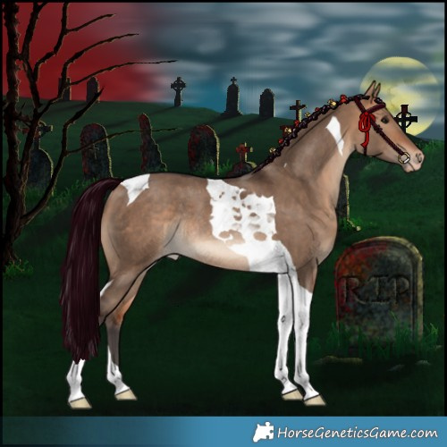 Horse Color:Bay Dun Tobiano Varnish Rabicano