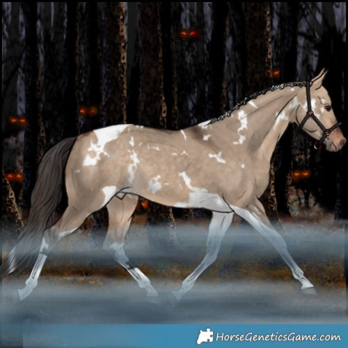 Horse Color:White Spotted Bay Dun Tobiano Rabicano 