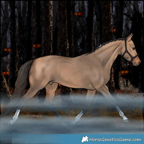 Horse Color:Bay Dun Tobiano Rabicano