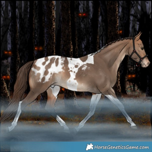 Horse Color:Bay Dun Tobiano Blanket Rabicano