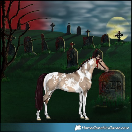 Horse Color:White Spotted Bay Dun Tobiano Rabicano 