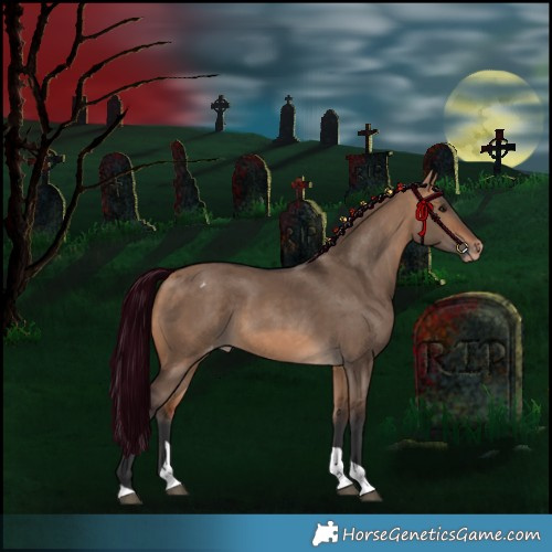 Horse Color:Bay Dun Tobiano Appaloosa Rabicano 