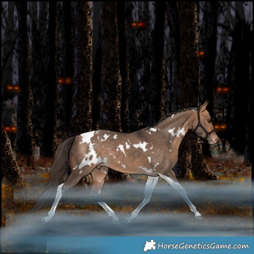 Horse Color:White Spotted Bay Dun Tobiano Varnish Rabicano