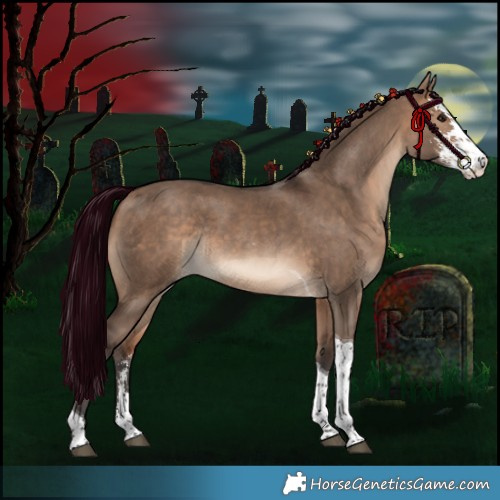 Horse Color:Bay Dun Sabino Tobiano Rabicano