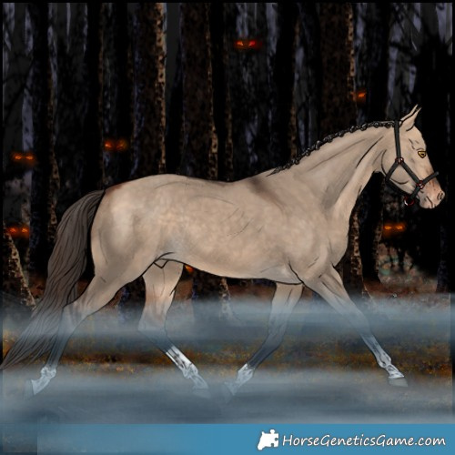 Horse Color:Bay Dun Tobiano Appaloosa Rabicano