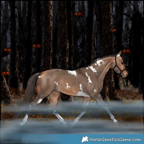 Horse Color:White Spotted Bay Dun Tobiano 