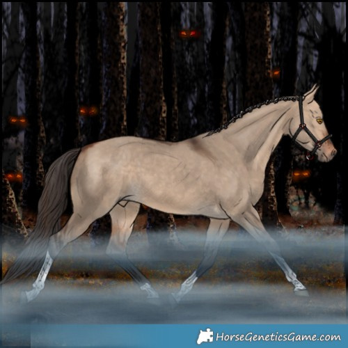 Horse Color:Bay Dun Tobiano