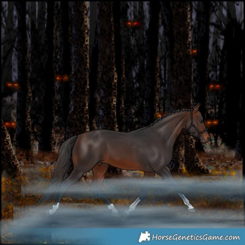 Horse Color:Brown Tobiano Rabicano
