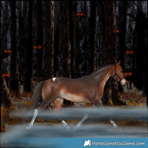 Horse Color:Bay Tobiano Rabicano