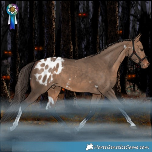 Horse Color:White Spotted Bay Dun Tobiano Appaloosa Rabicano