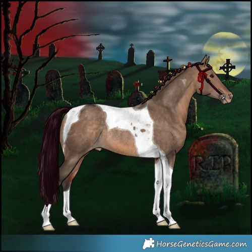 Horse Color:Bay Dun Tobiano Appaloosa Rabicano 