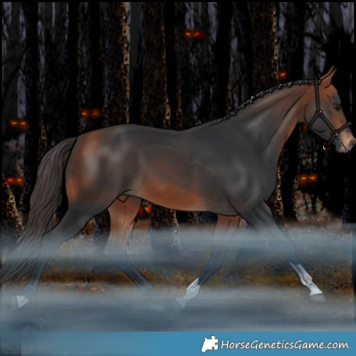 Horse Color:Bay Tobiano Rabicano 