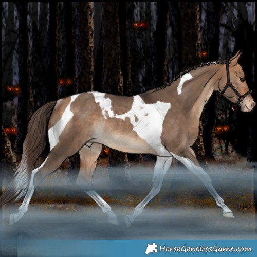 Horse Color:Bay Dun Tobiano Varnish Rabicano