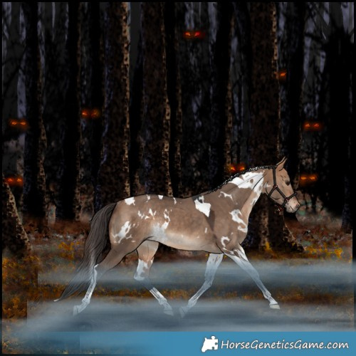 Horse Color:White Spotted Bay Dun Tobiano Rabicano