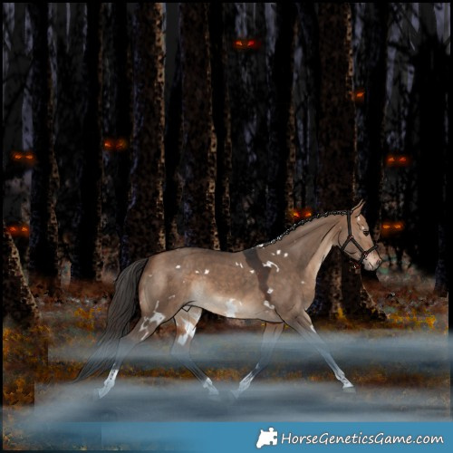 Horse Color:White Spotted Bay Dun Tobiano Rabicano