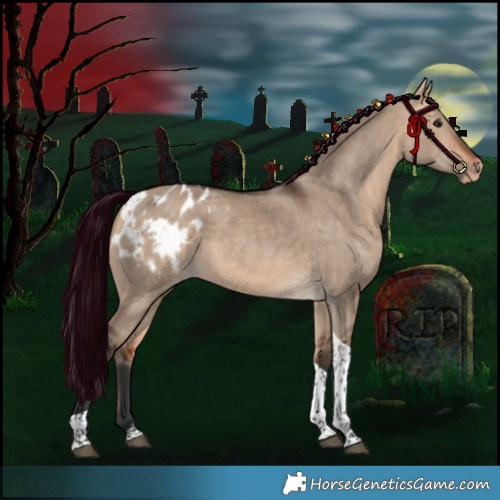 Horse Color:Bay Dun Tobiano Appaloosa Rabicano