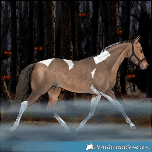 Horse Color:Bay Dun Tobiano Rabicano