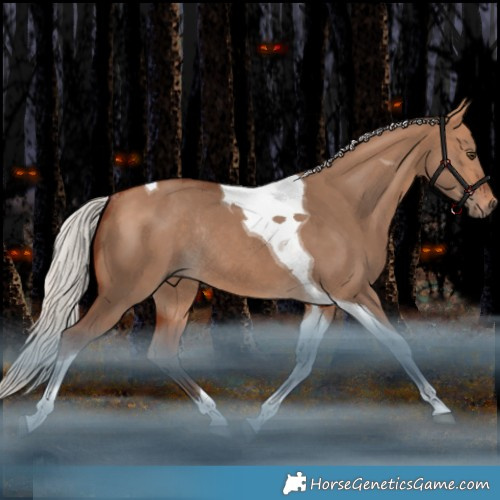 Horse Color:Silver Bay Dun Tobiano Rabicano 
