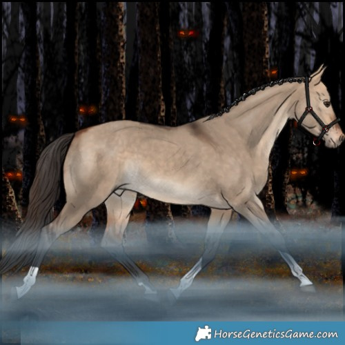 Horse Color:Bay Dun Tobiano Rabicano