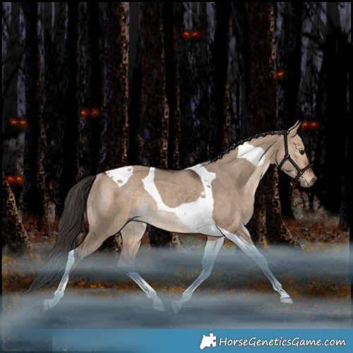 Horse Color:Bay Dun Tobiano Rabicano