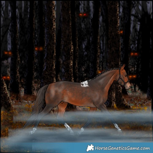 Horse Color:Bay Tobiano Rabicano 