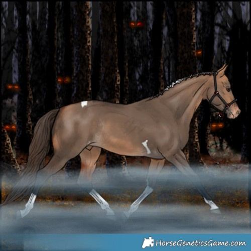 Horse Color:Bay Dun Tobiano Appaloosa Rabicano 